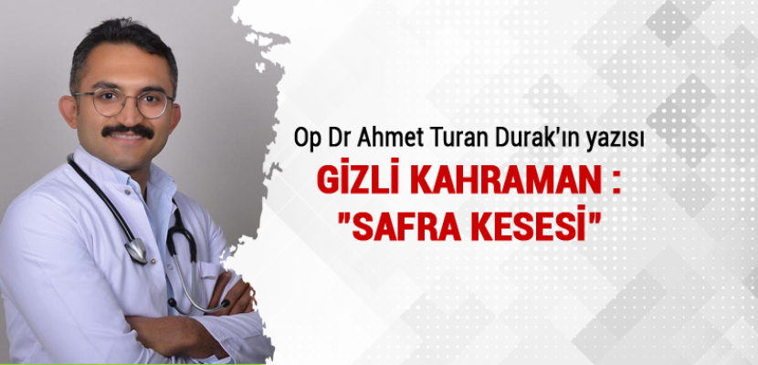 GİZLİ KAHRAMAN : “SAFRA KESESİ”